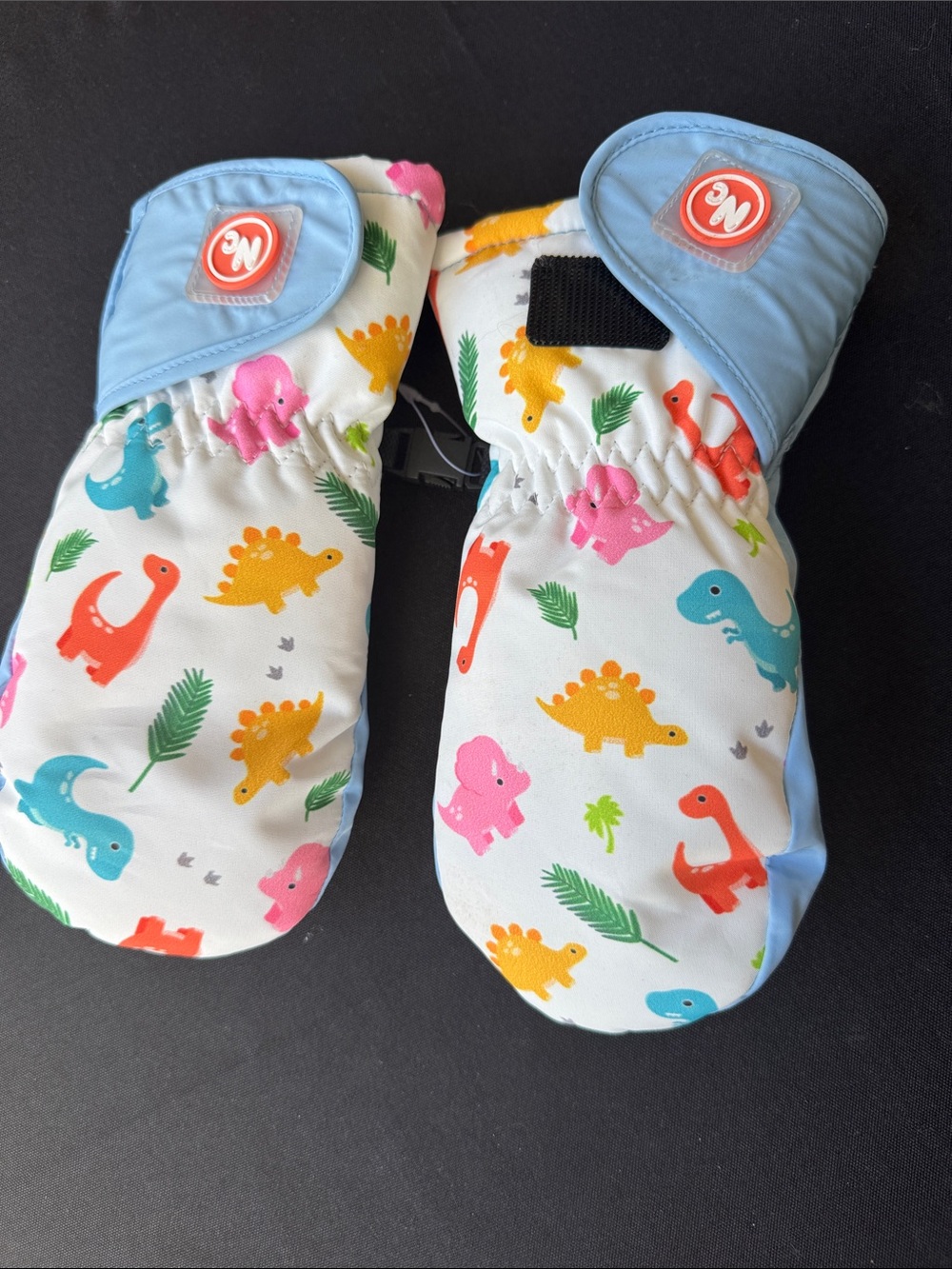 Kids Dino Print Blue Trim Mittens